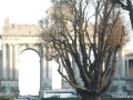 svoe-brusszel-2011-21