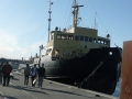 svoe-grundtvig-aalborg-2013-12