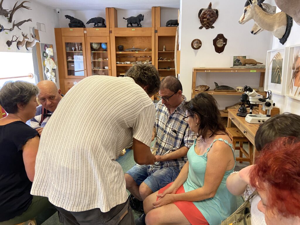négy résztvevő beszélget a tárlatvezetővel