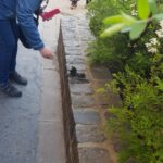 Egy mini kutyaszobor, ami egy vizslára emlékeztet. Egy tagunk éppen fényképezi, háttérben zööldellő bokrok